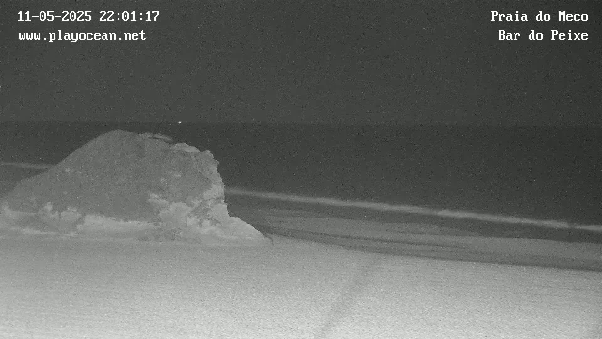 A nighttime, grayscale image shows a dark ocean with gentle waves lapping at a sandy shore, with a large, light-colored rock formation in the foreground.