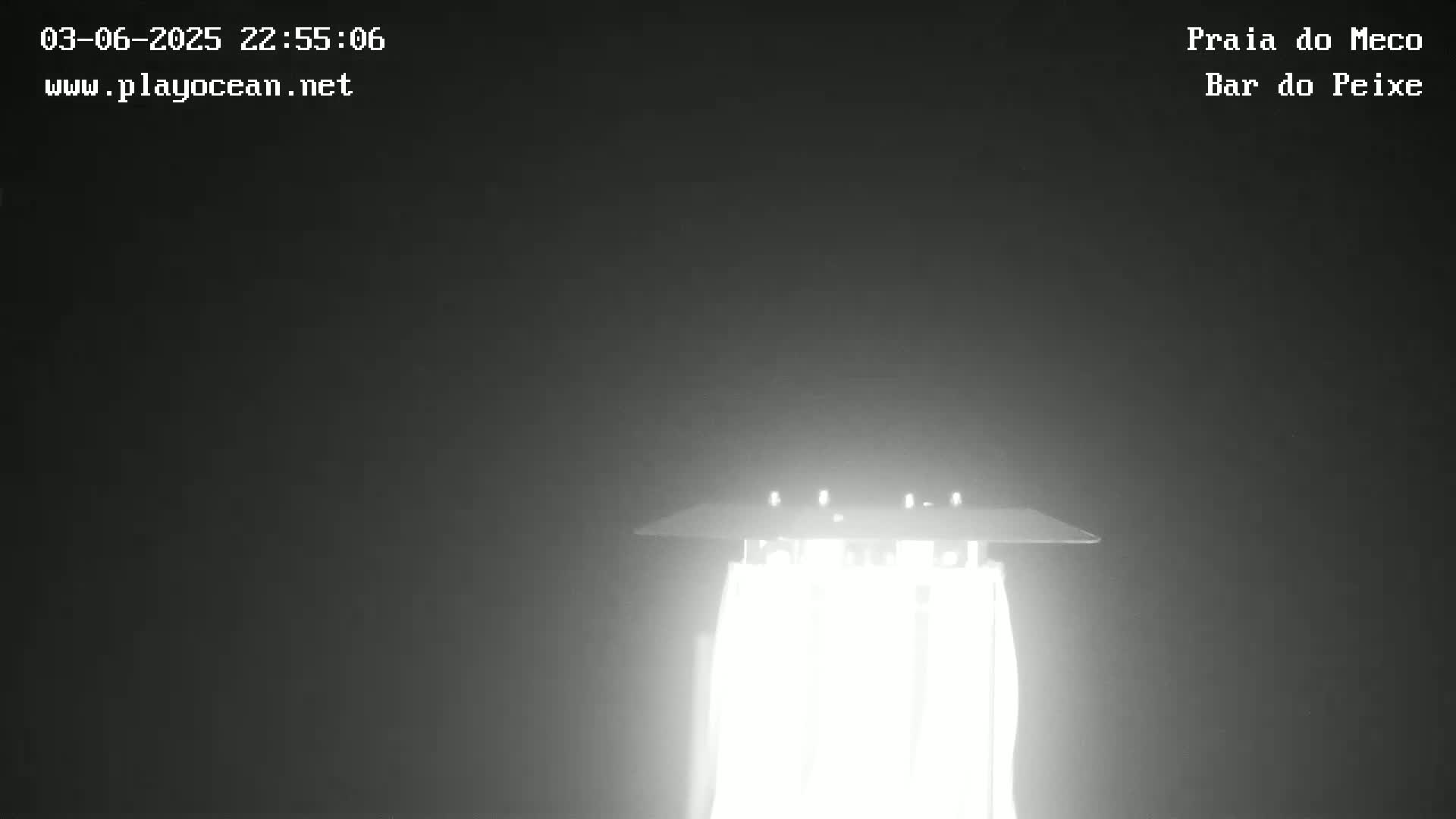 A brightly lit streetlamp is visible in the dark, foggy night.