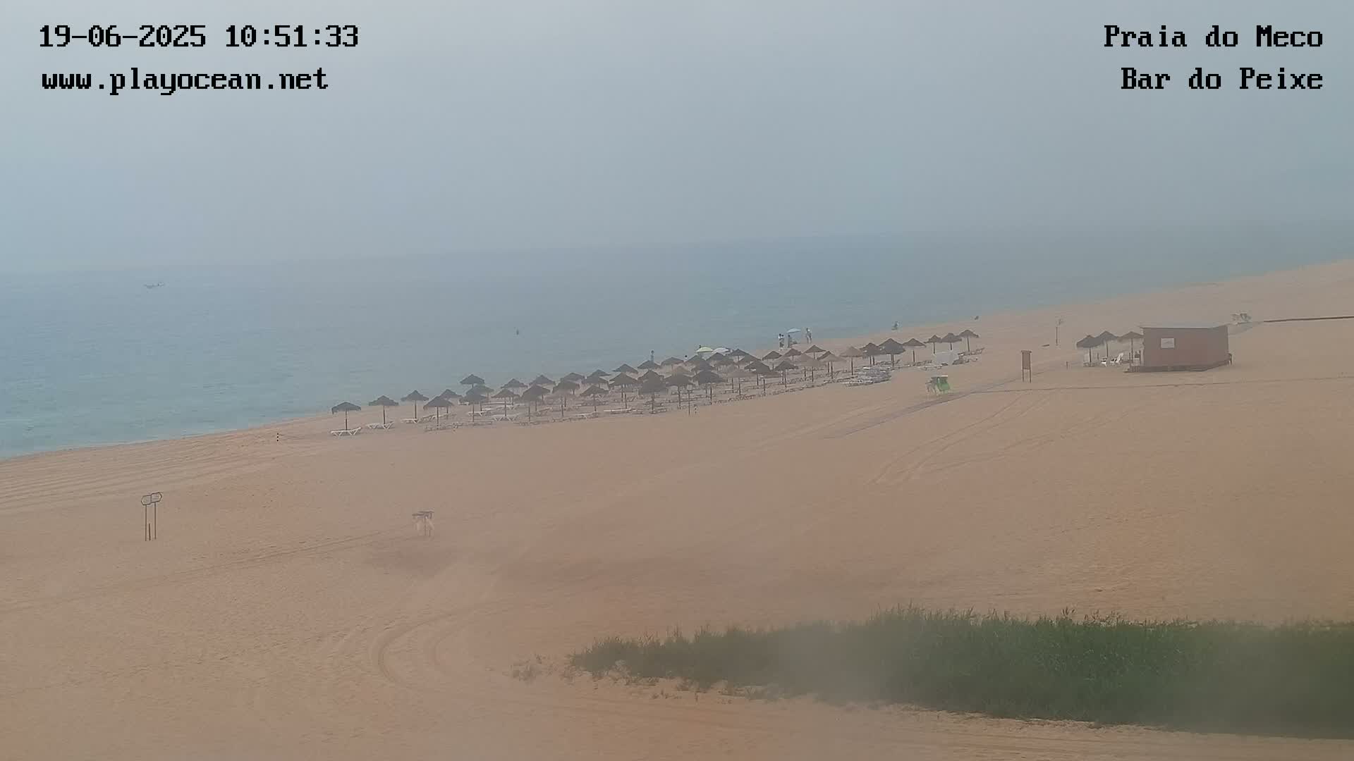 A hazy beach with numerous umbrellas and lounge chairs stretches along a calm ocean under a foggy sky.