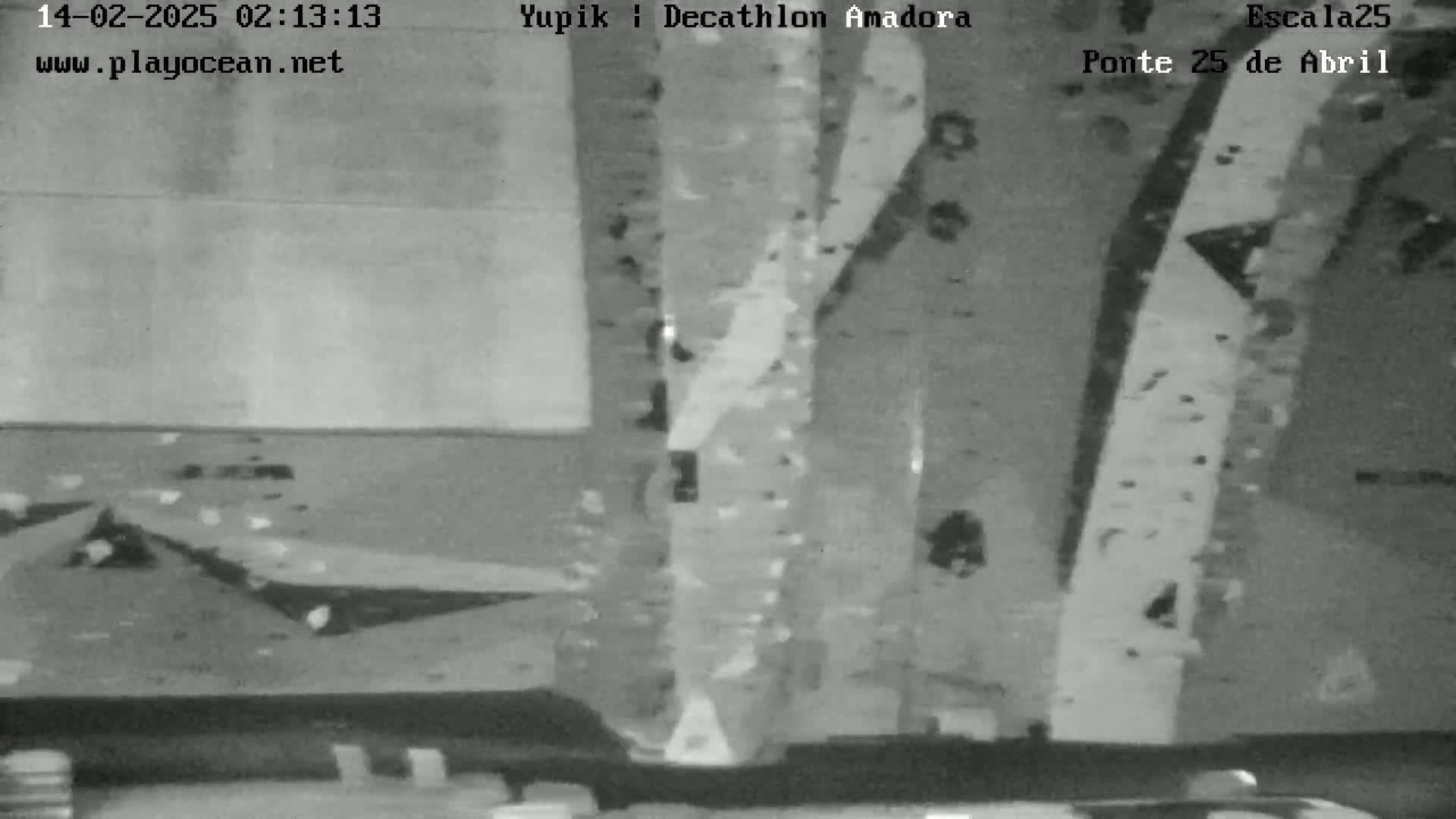 A grainy, black and white nighttime image shows a view of a possibly outdoor scene with what appears to be a tree trunk and various indistinct shapes and textures in the foreground and background.