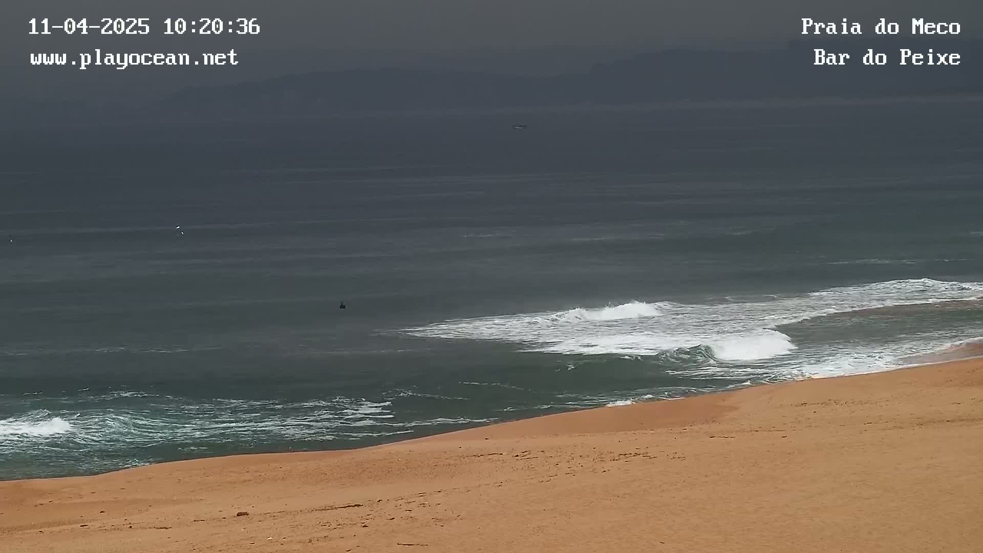 A sandy beach slopes down to a dark, overcast ocean with small waves breaking near the shore.