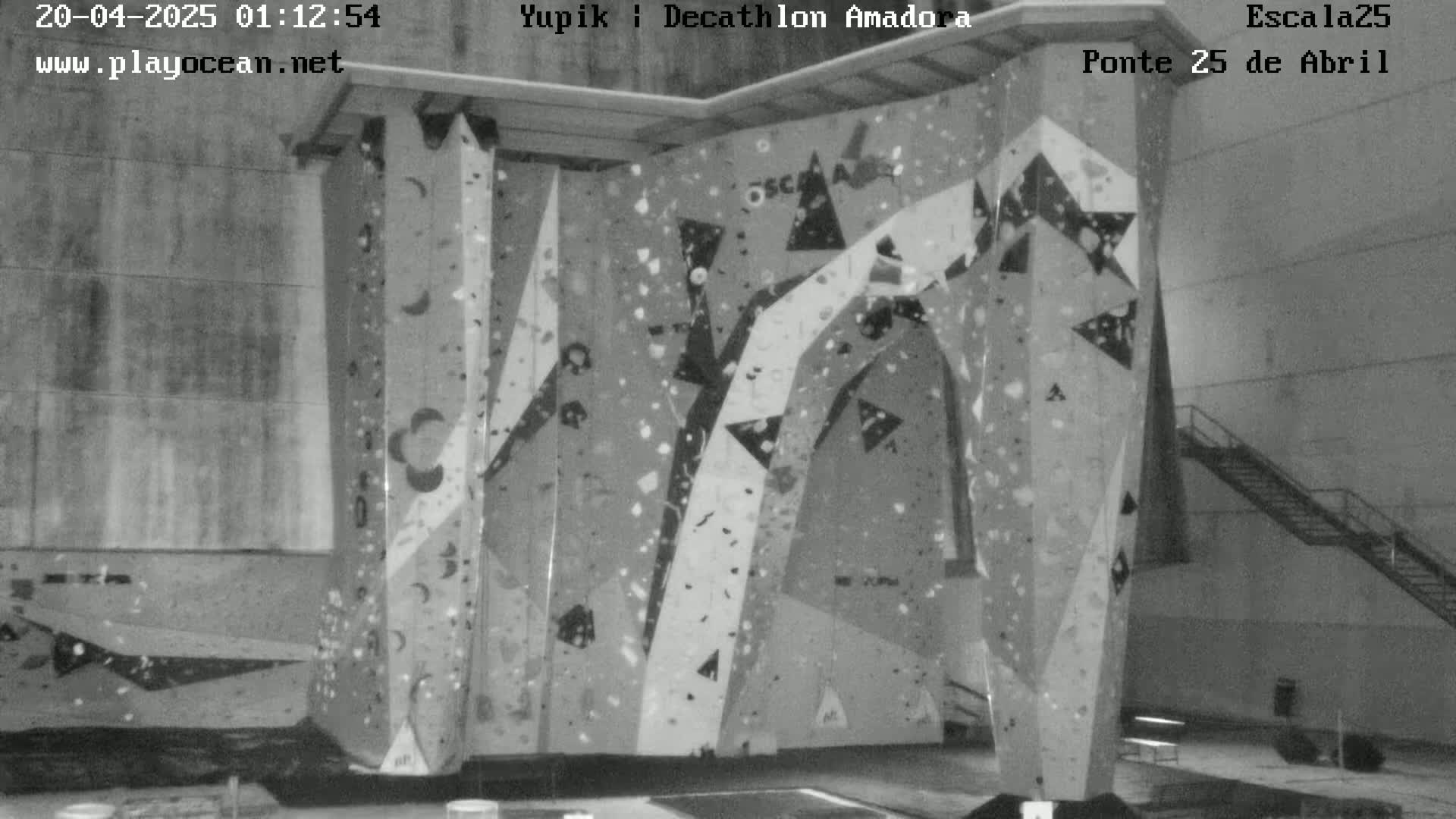 A large indoor climbing wall with various colored holds is shown in a black and white image.