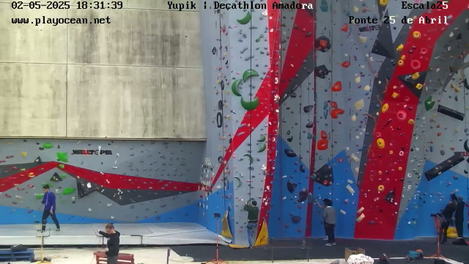 Several people are climbing and watching others climb a large, multicolored indoor climbing wall.