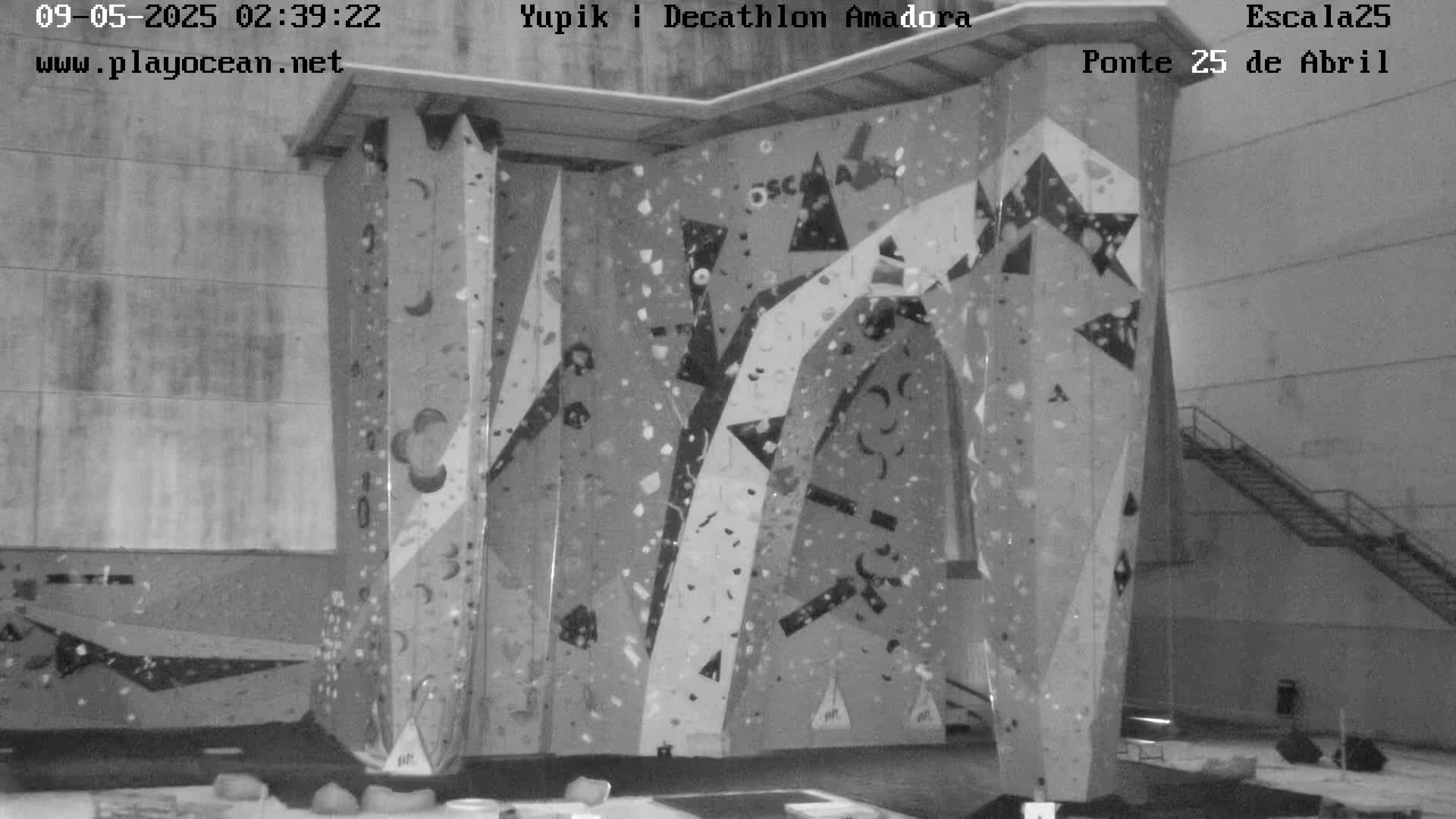 A large indoor climbing wall with various holds and patterns is shown in grayscale.