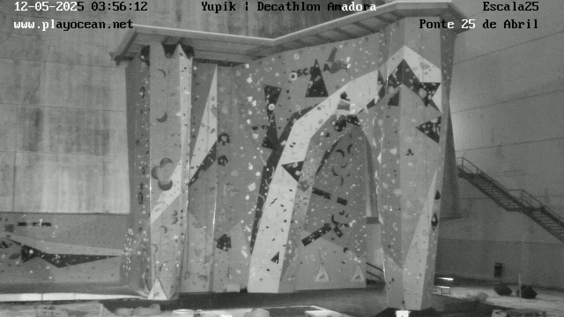 A large indoor climbing wall with various colored holds is shown in a black and white image.