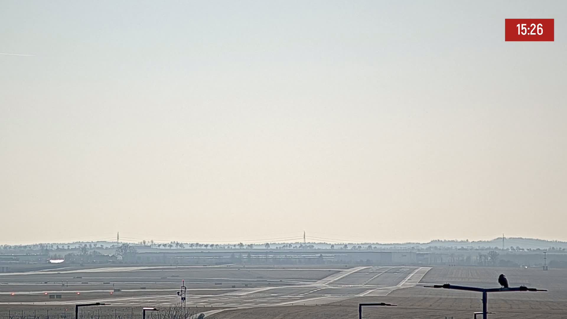 A hazy, pale sky overlooks a flat expanse of airport tarmac and runways, with a bird perched on a piece of airport equipment in the foreground.