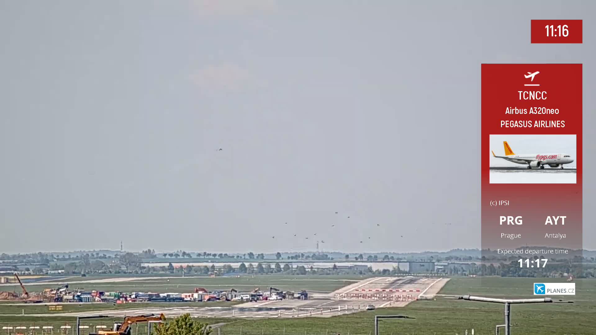 A long runway at an airport is visible on a hazy day, with several pieces of construction equipment and numerous birds in flight.