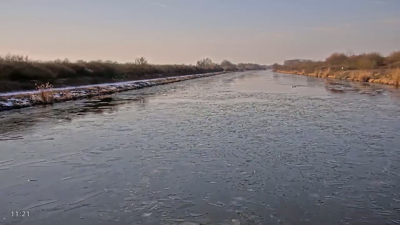 A partially ice-covered canal winds through a flat landscape of bare winter trees under a pale sky.