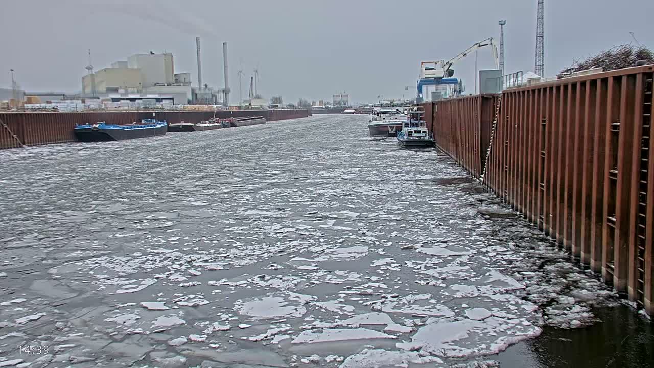 Elbe River Seaway between Hamburg-Decin  with RIO Boat Trip Live Cam - Decin, Usti nad Labem, Czechia
