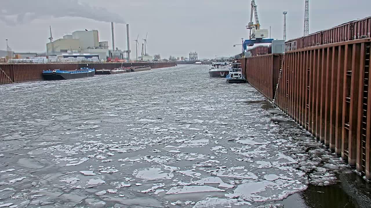 Elbe River Seaway between Hamburg-Decin  with RIO Boat Trip Live Cam - Decin, Usti nad Labem, Czechia