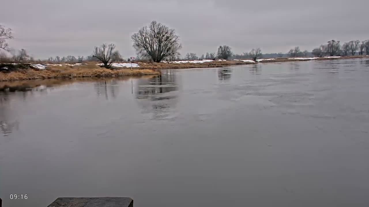 Elbe River Seaway between Hamburg-Decin  with RIO Boat Trip Live Cam - Decin, Usti nad Labem, Czechia
