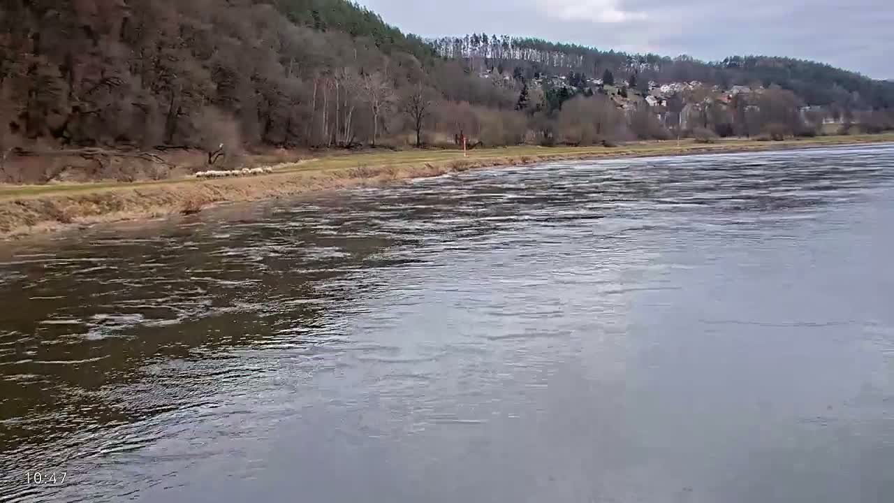 Elbe River Seaway between Hamburg-Decin  with RIO Boat Trip Live Cam - Decin, Usti nad Labem, Czechia