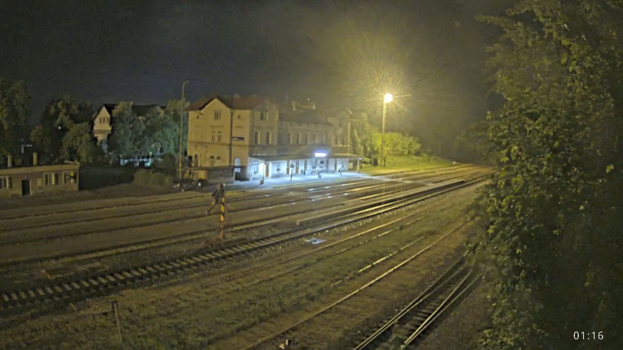 A nighttime view of a train station with several tracks and surrounding vegetation under illuminated conditions.