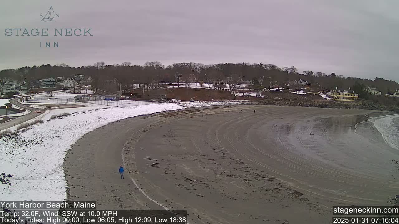 A mostly sandy beach curves gently toward the ocean under an overcast sky, with snow visible on the upper part of the beach and in the background.