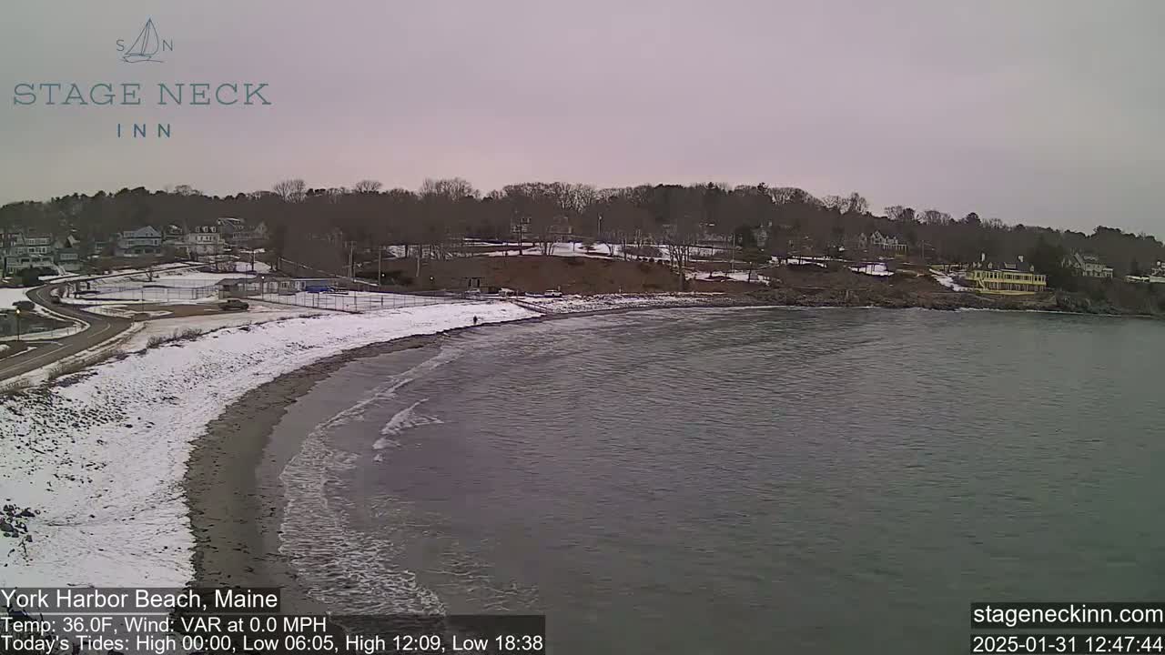 A snow-dusted beach with calm waves meets a calm gray sea, overlooking a residential area with trees under an overcast sky.