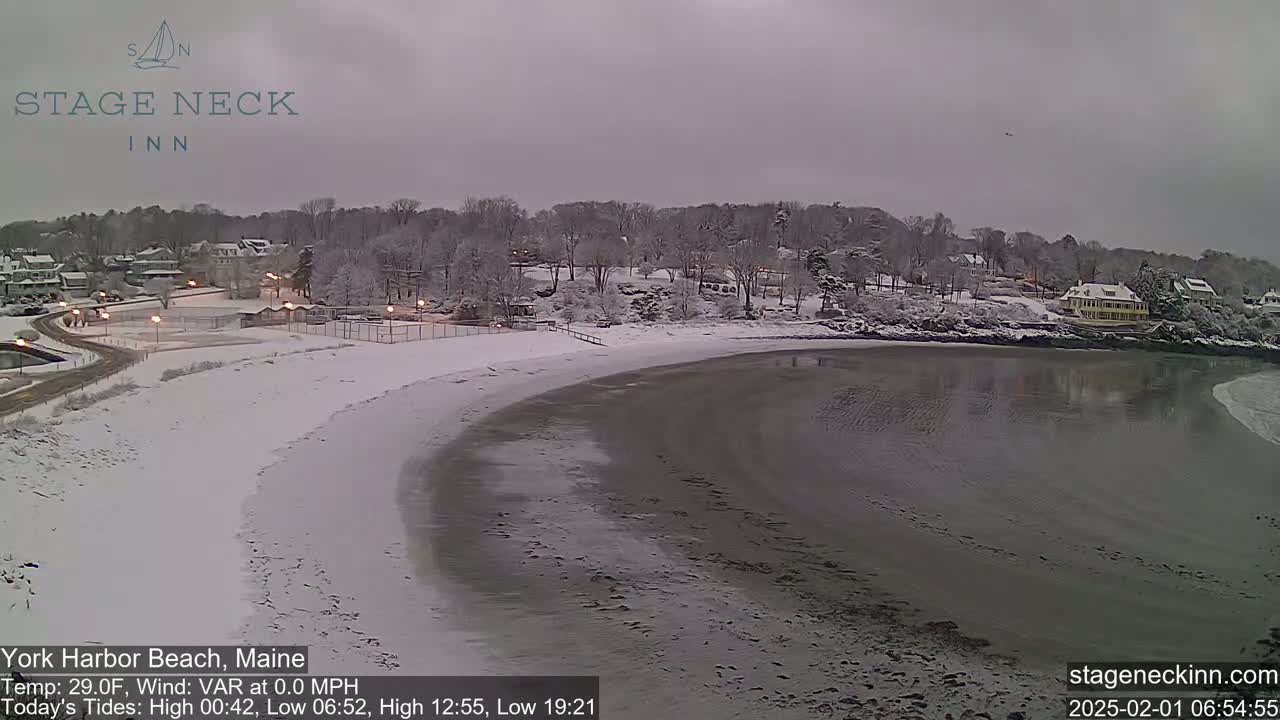 A snow-covered beach curves along a calm body of water, with snow-covered trees and buildings in the background under an overcast sky.