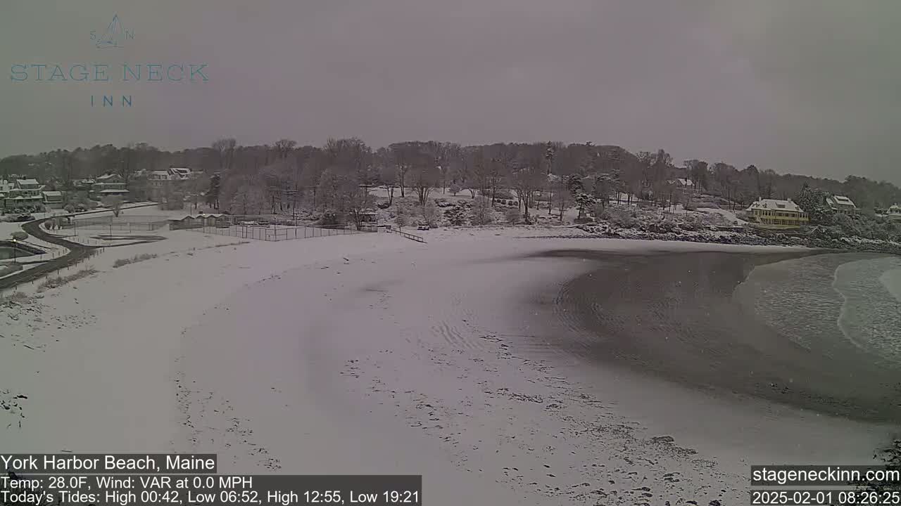 A snow-covered beach with a calm bay and a line of snow-covered houses and trees in the background under an overcast sky.