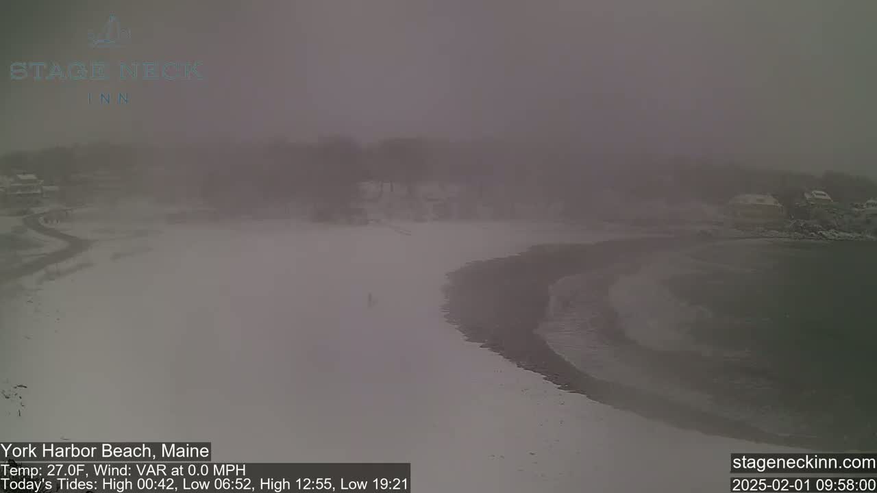 A snow-covered beach curves gently into a calm, foggy body of water under overcast skies.