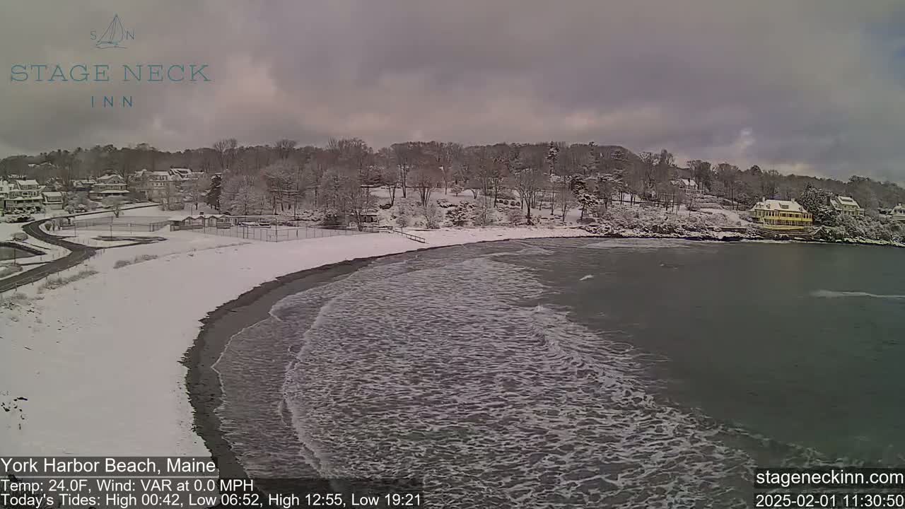 A snow-covered beach with a calm, slightly choppy ocean meets a snow-covered shoreline with houses and trees beyond.