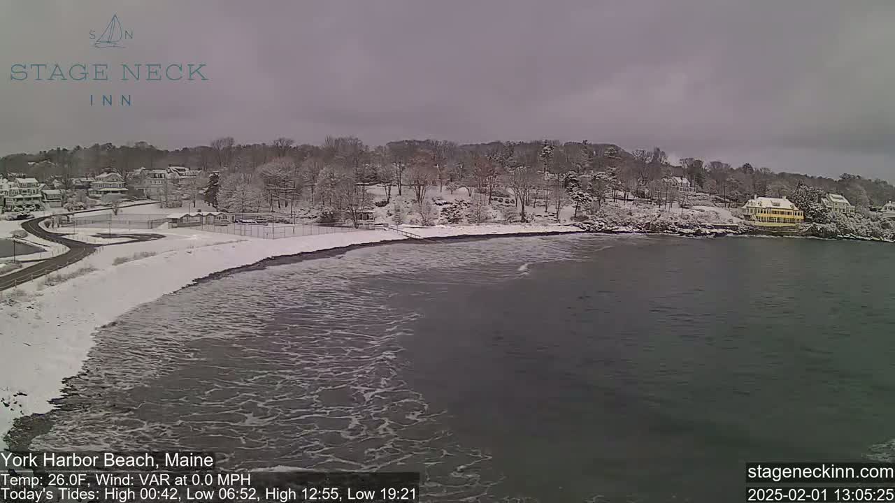 A snow-covered beach and shoreline with calm water are visible under a cloudy sky.