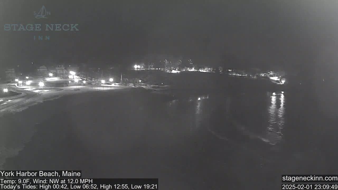 A nighttime view of a snow-covered beach and calm water, with a few lights visible in the distance under a dark sky.