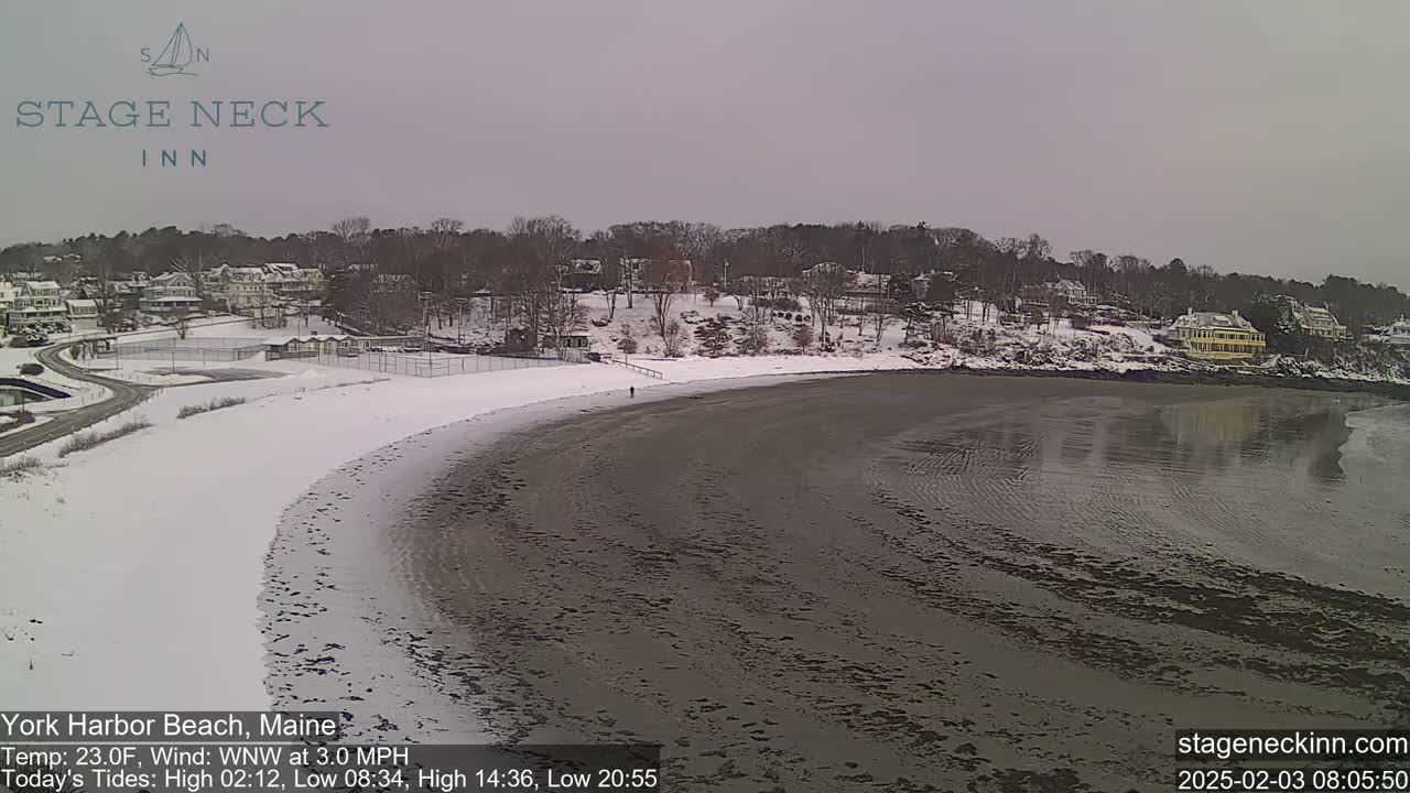 A snow-covered beach with a calm body of water and houses on a distant hillside under an overcast sky.
