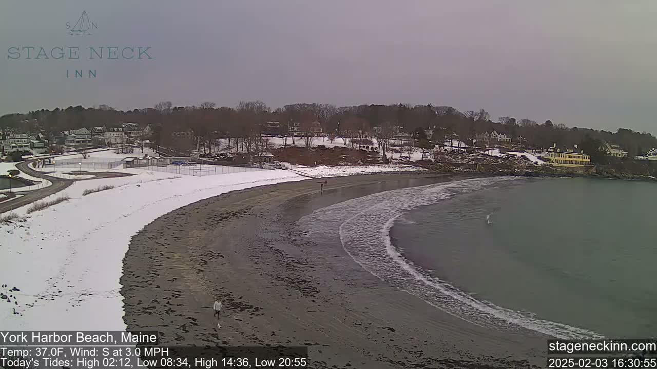 A sandy beach partially covered in snow, with gentle waves lapping the shore, overlooks a residential area under an overcast sky.