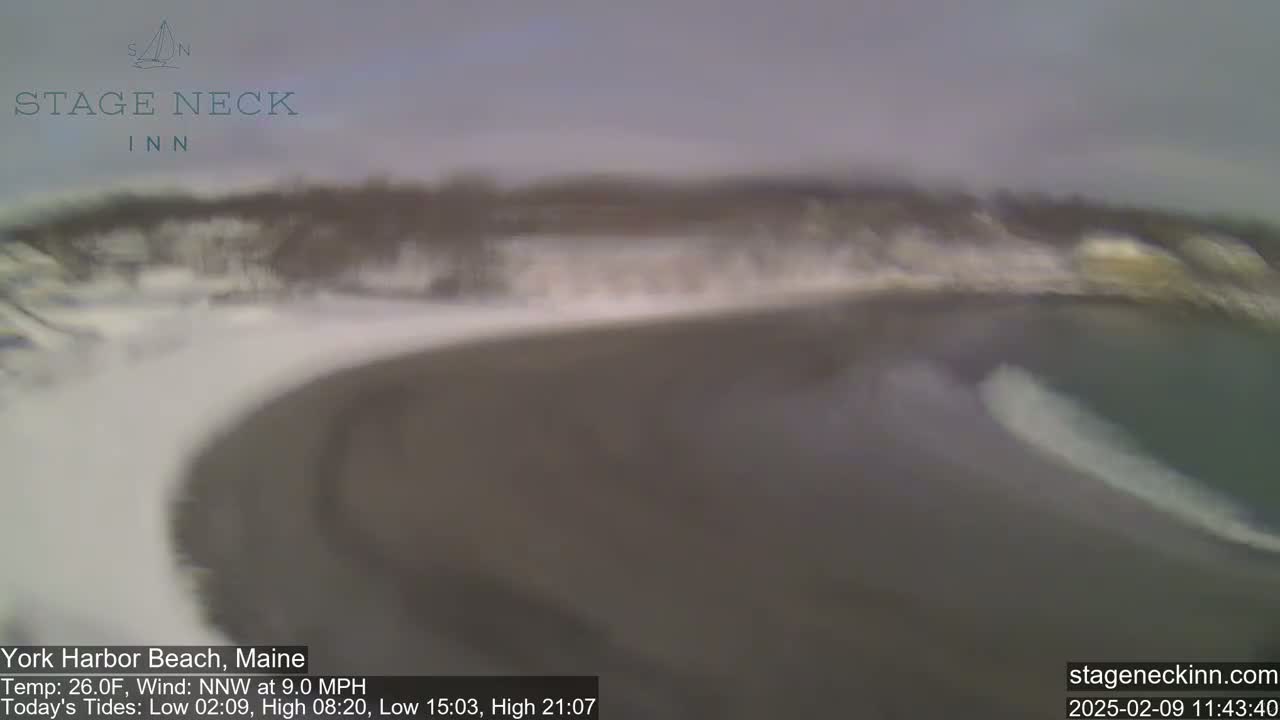 A blurry, overcast view shows a dark sandy beach curving into a dark-grey body of water with a small wave breaking near the shore.