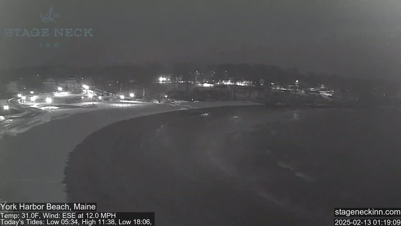 A nighttime, snowy scene shows a dark, snow-covered beach and a sparsely lit shoreline with trees and buildings beyond.
