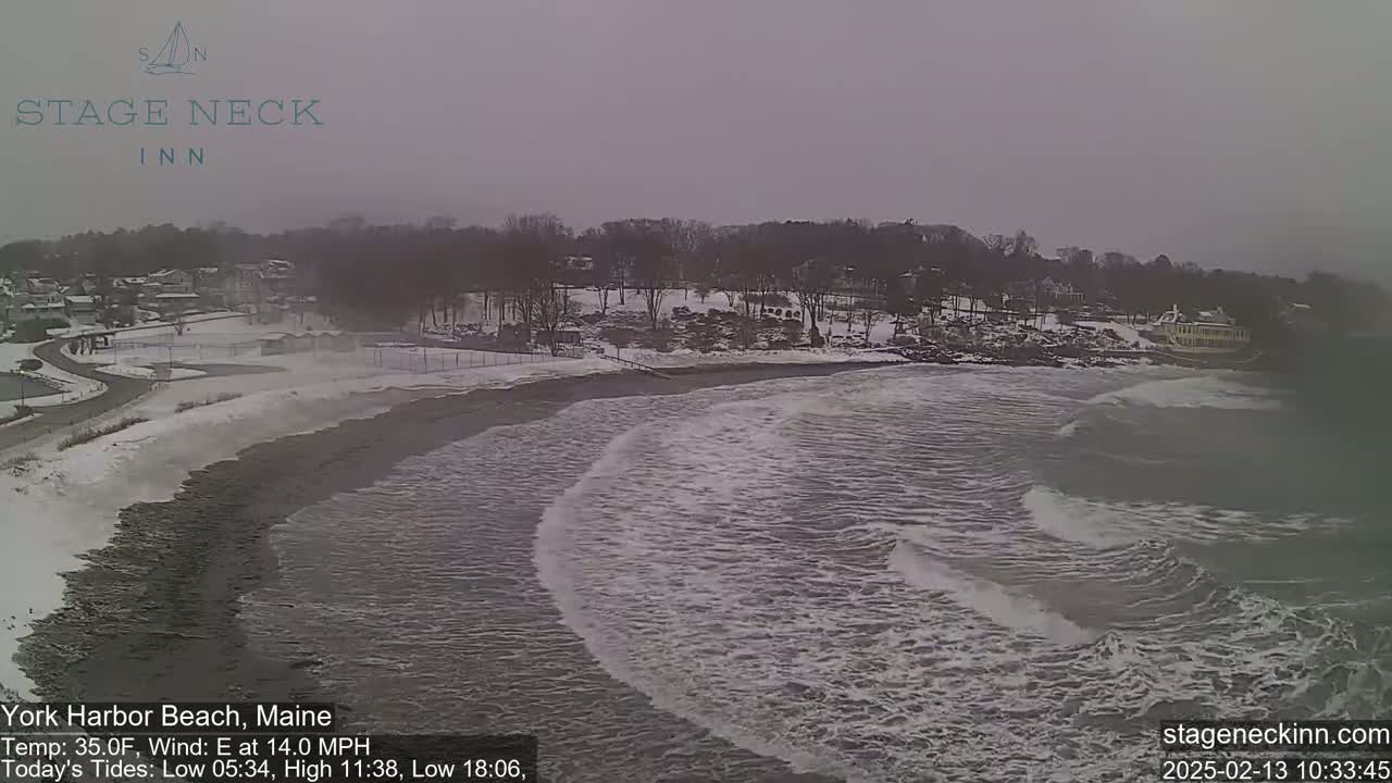 A snow-covered beach with gentle waves meets a gray, overcast sky; buildings and trees are visible in the background.
