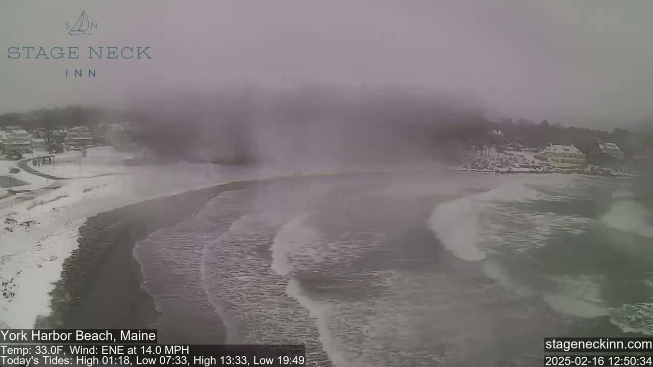 A snow-covered beach with gray, choppy waves under an overcast sky.