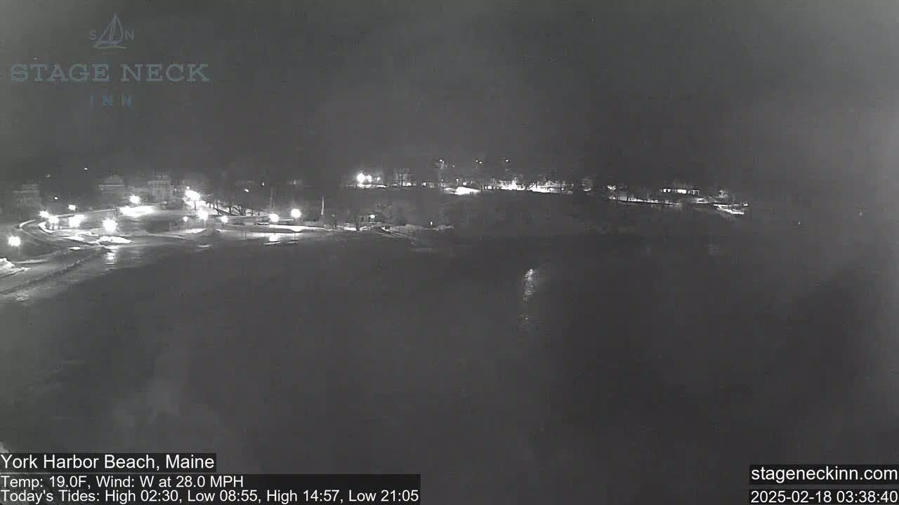 A nighttime view of a snow-covered shoreline with dimly lit buildings in the background under a dark, windy sky.
