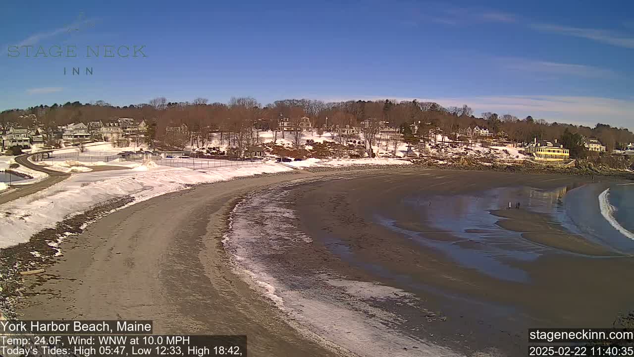 A sandy beach with a few people on it curves around a shoreline of houses and snow-covered trees under a clear blue sky.