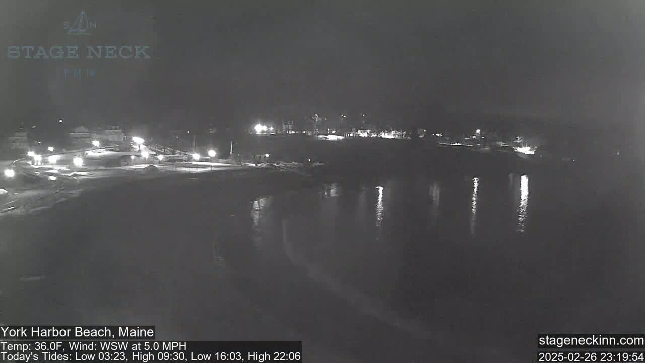 A nighttime view of a snow-covered shoreline and calm, dark water reflecting lights from a distant town under a clear sky.