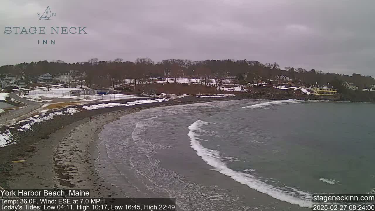 A mostly gray, overcast day shows gentle waves lapping a sandy beach, with a snow-dusted shoreline and buildings in the background.
