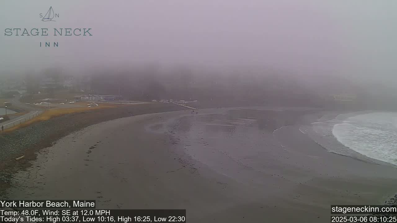 A foggy beach scene shows a dark sandy shore meeting a gently lapping ocean under an overcast sky.