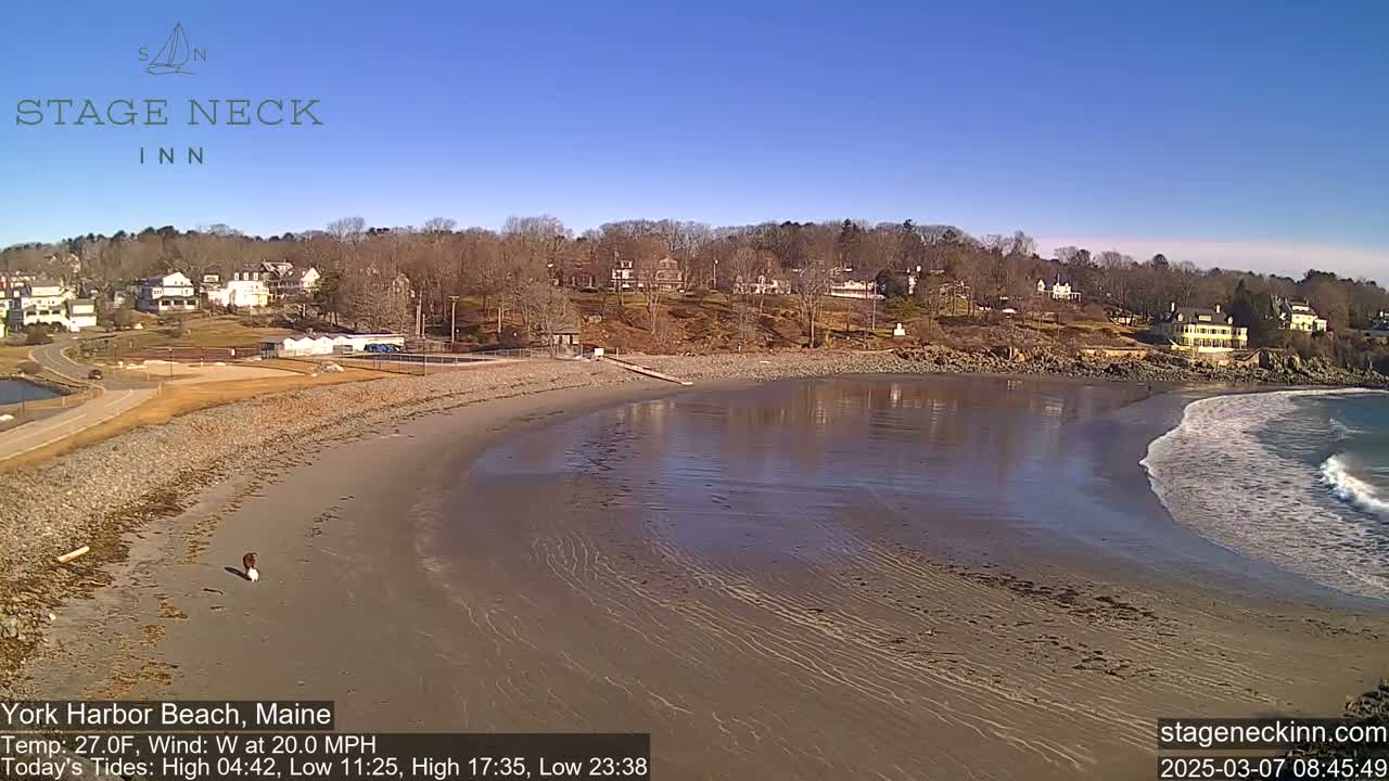 A sandy beach with a calm ocean and small waves, under a clear blue sky, shows a residential area in the background.