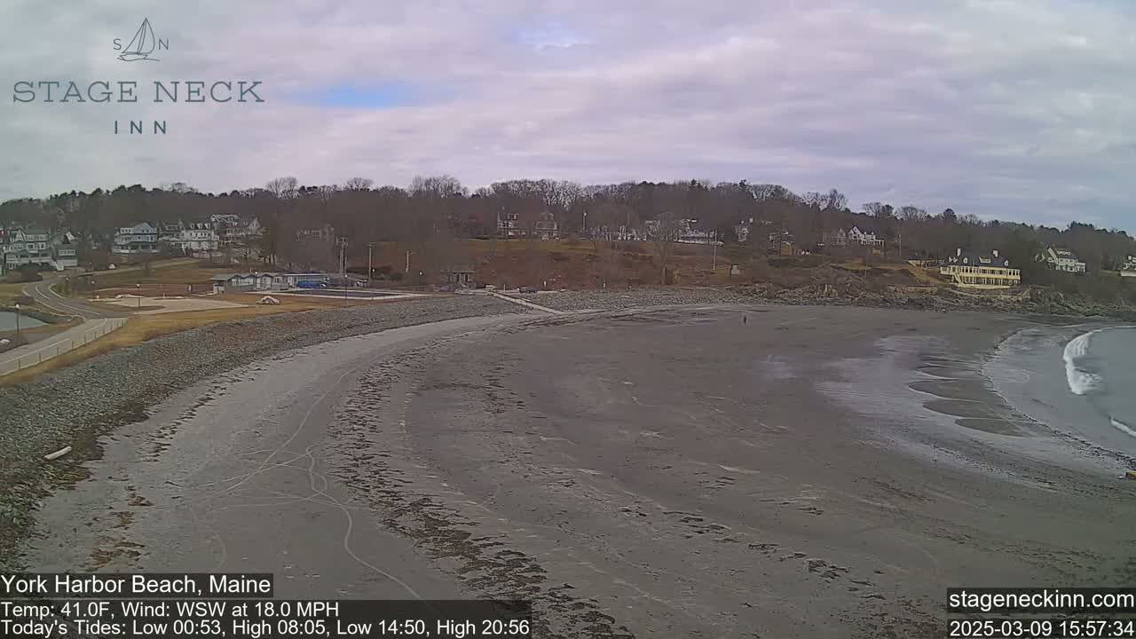 A mostly overcast day shows a sandy beach with a gentle wave lapping the shore, backed by a line of houses and trees.
