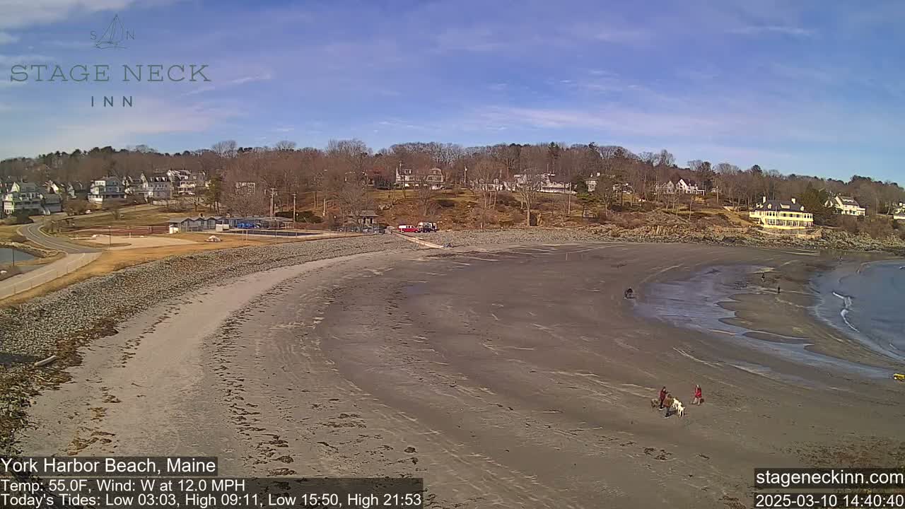 A sandy beach with several people and dogs, backed by a line of houses and trees under a mostly clear sky, with a 12 mph westerly wind.