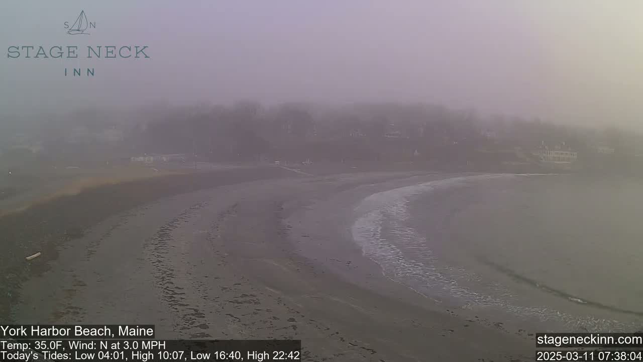 A foggy beach scene shows a sandy shore curving into calm, grey water under an overcast sky.