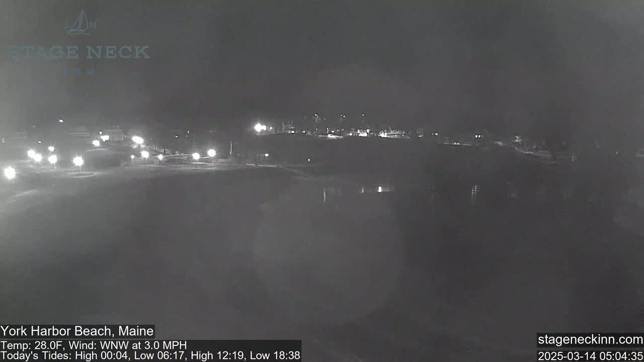A nighttime view of a dimly lit road and shoreline with a calm body of water under a dark sky.