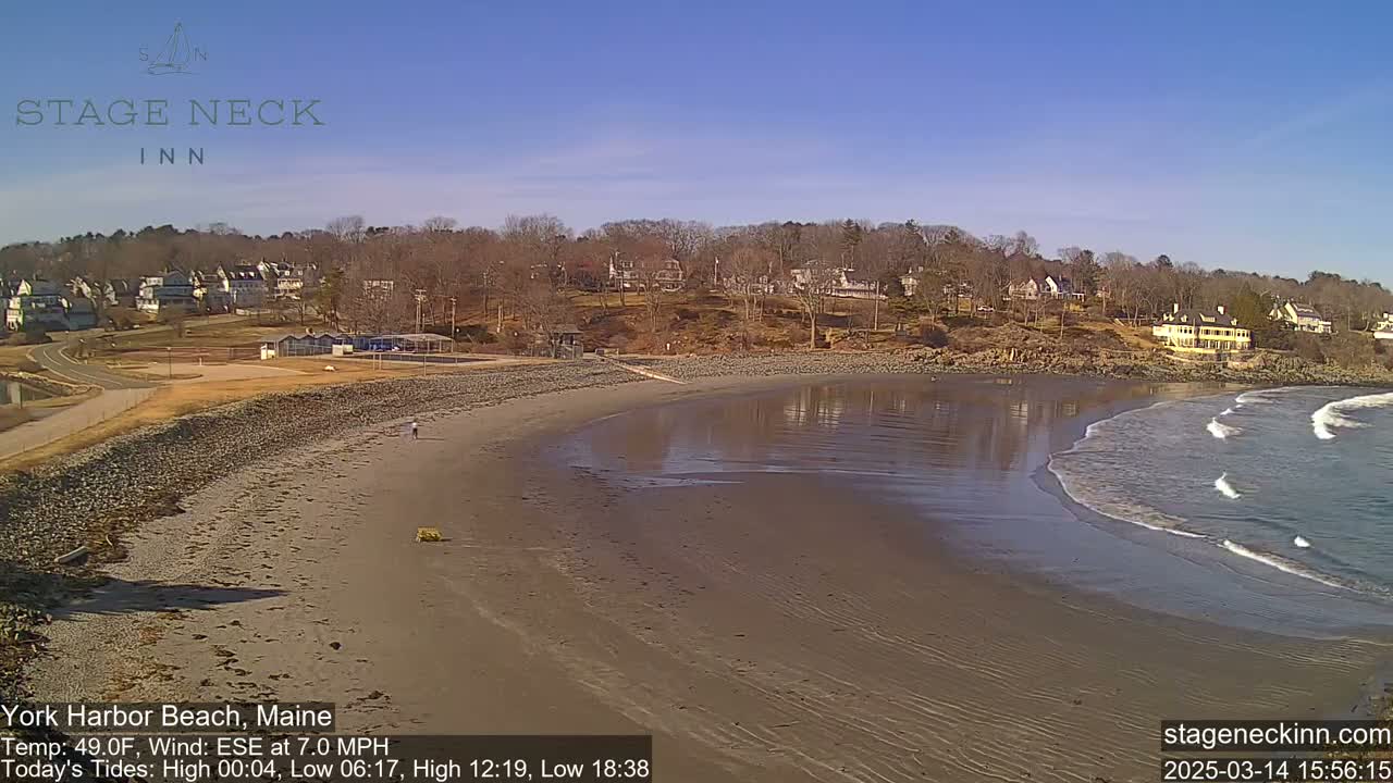 A sandy beach with gentle waves laps the shore under a clear blue sky, backed by a line of houses and trees.
