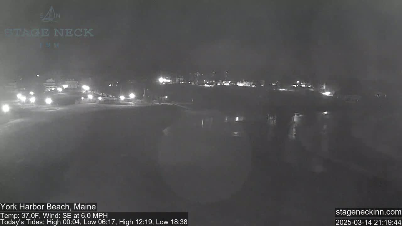A nighttime view of a dark, calm body of water near a dimly lit shoreline with some distant lights visible.
