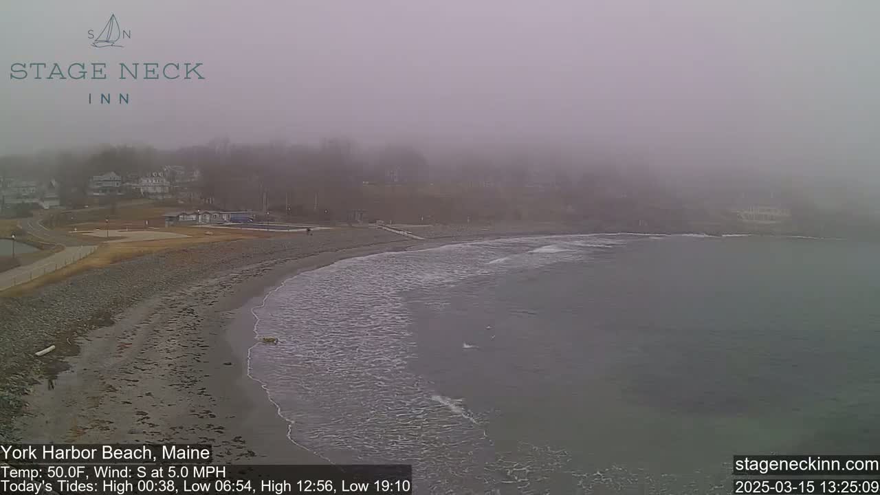 A foggy coastal scene shows a sandy beach meeting a gray ocean with small waves under an overcast sky.