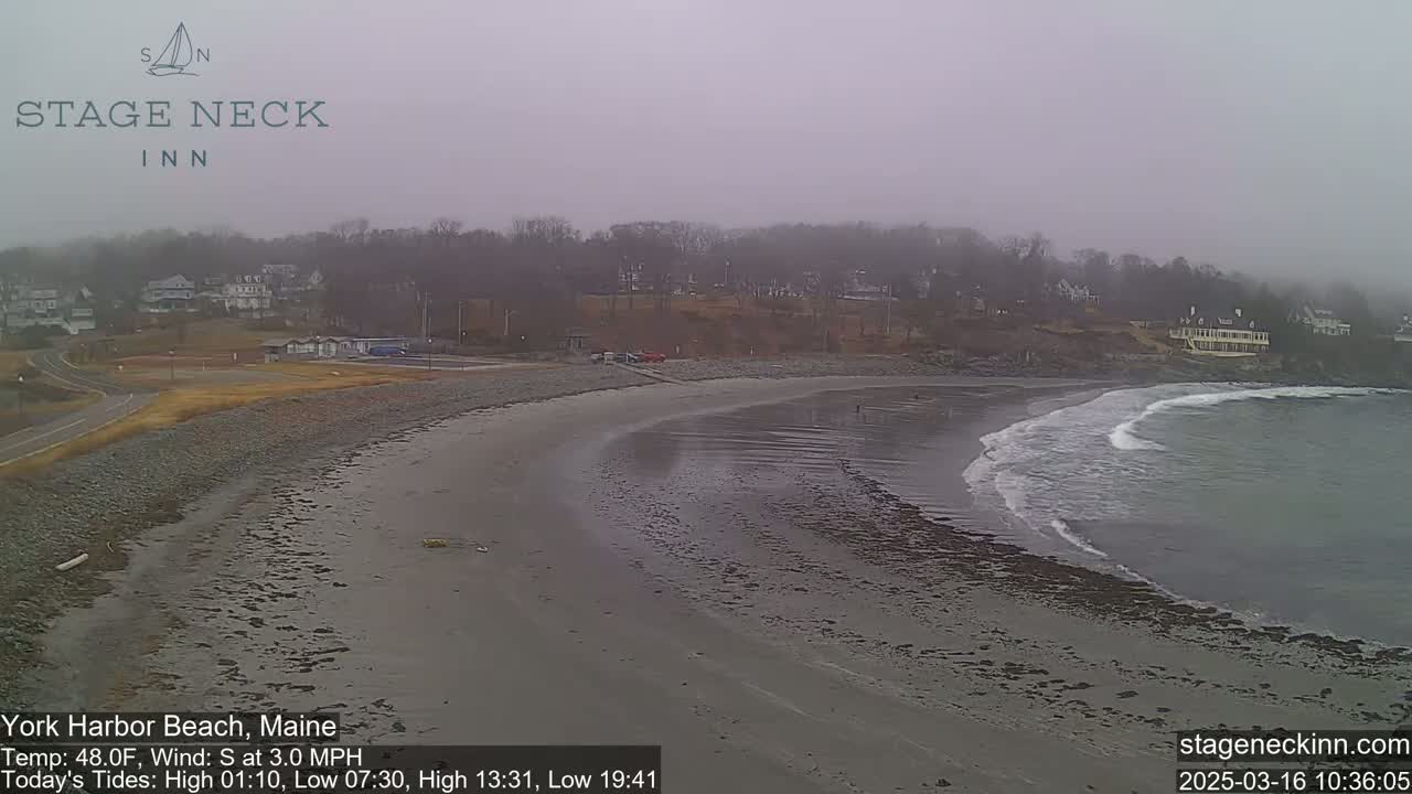 A sandy beach curves gently into a calm ocean under an overcast sky.