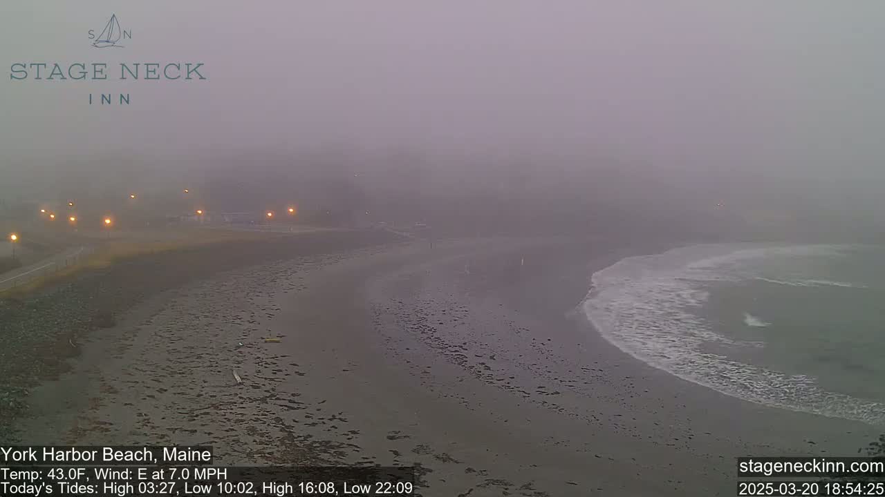 A foggy beach scene shows a dark, sandy shore with gentle waves lapping the land under a gray, overcast sky.