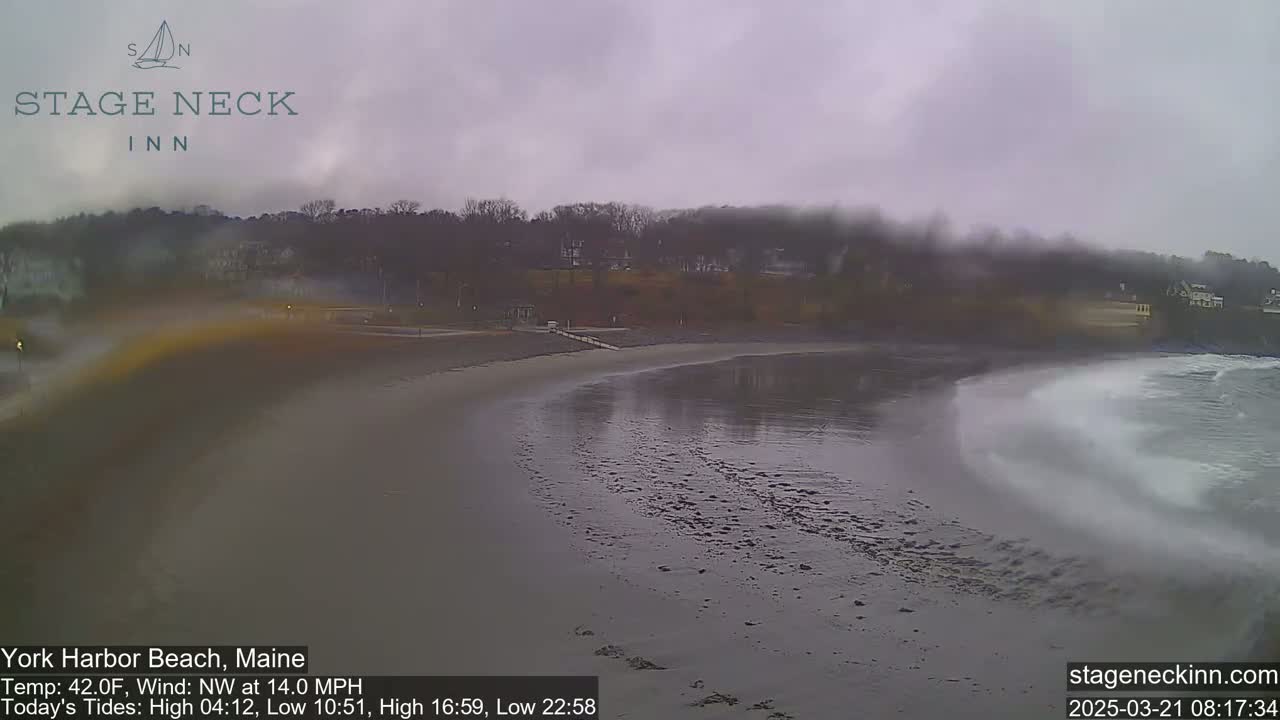 A mostly overcast, windy day at a beach with dark sand, small waves lapping the shore, and trees in the background.