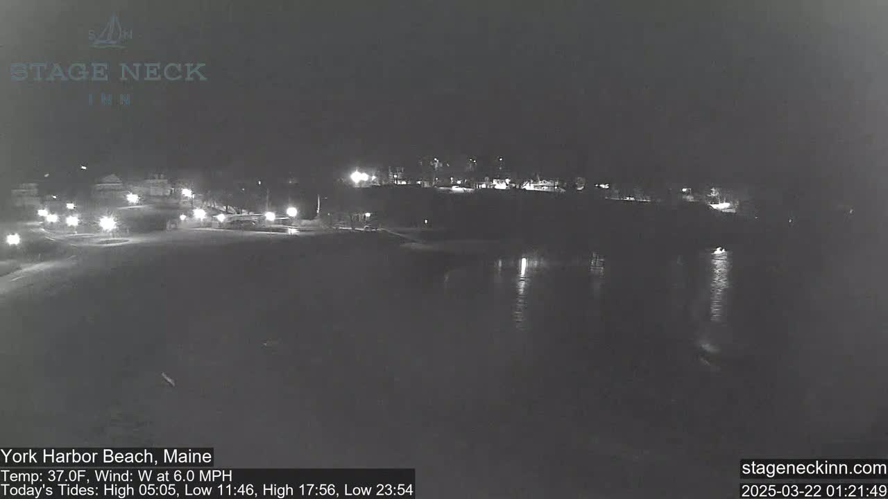 A nighttime view of a dark beach and calm water, with a few lights visible in the distance under a clear sky.