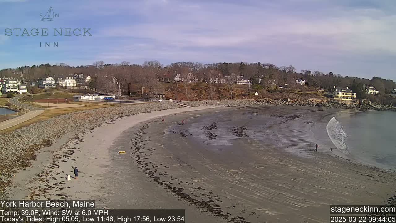 A sandy beach with a few people and dogs, along with calm waves lapping the shore, under a partly sunny sky.