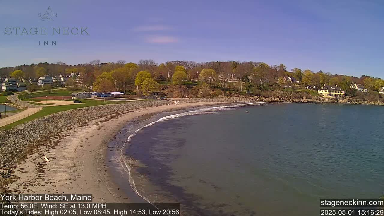 A sandy beach curves into calm, gray-green water under a clear blue sky, with a residential area and green trees rising behind it.